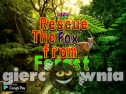 Miniaturka gry: Knf Rescue The Fox from Forest