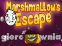 Miniaturka gry: Marshmallow's Escape